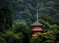 Forest Pagoda