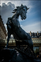 Horse at Musée d'Orsay, Paris