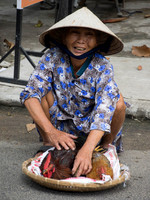 Chicken Lady