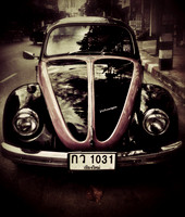 Beetle