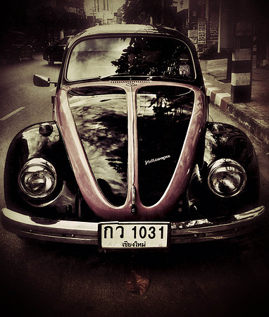 Beetle
